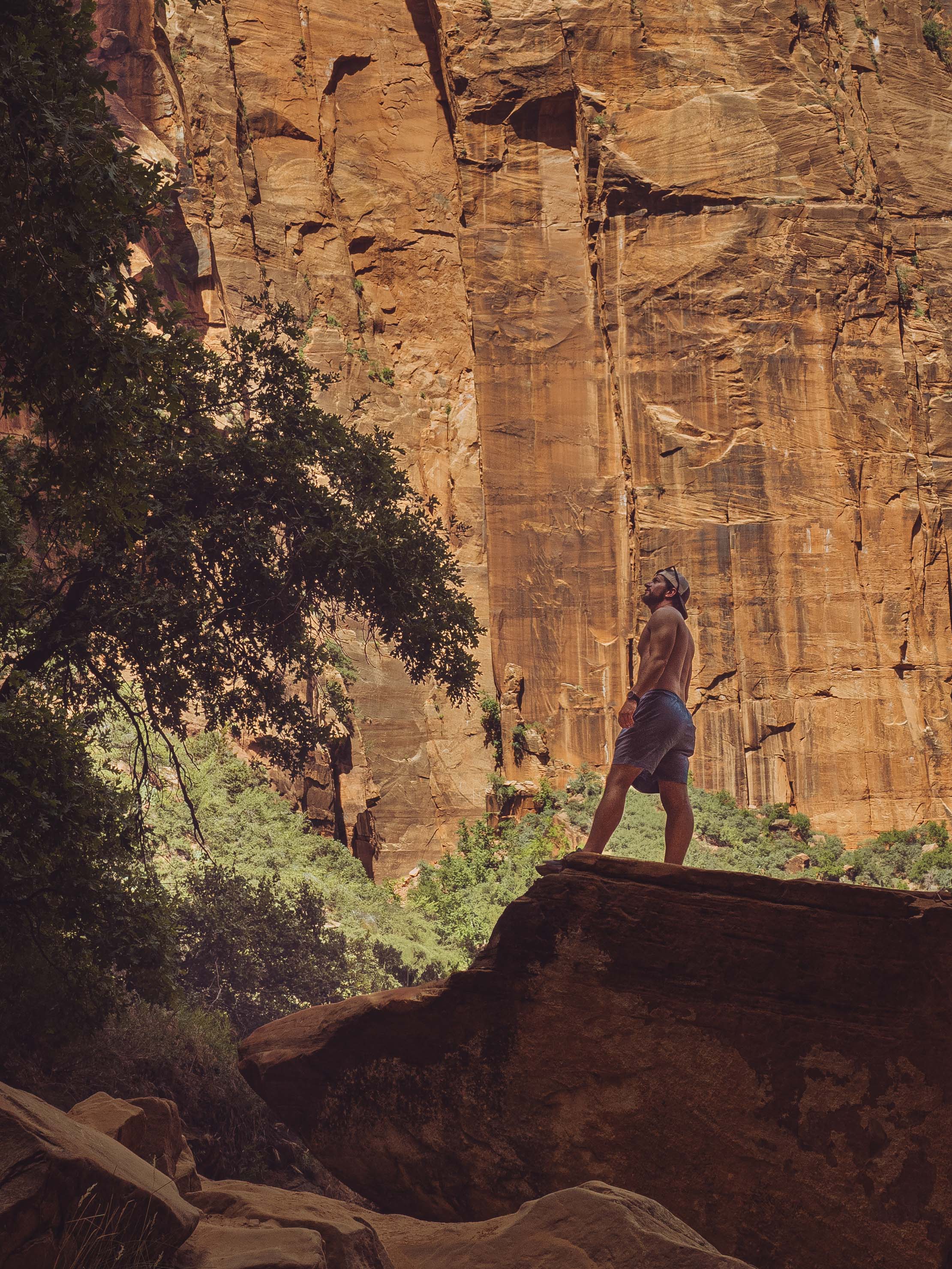 Desert Southwest landscape