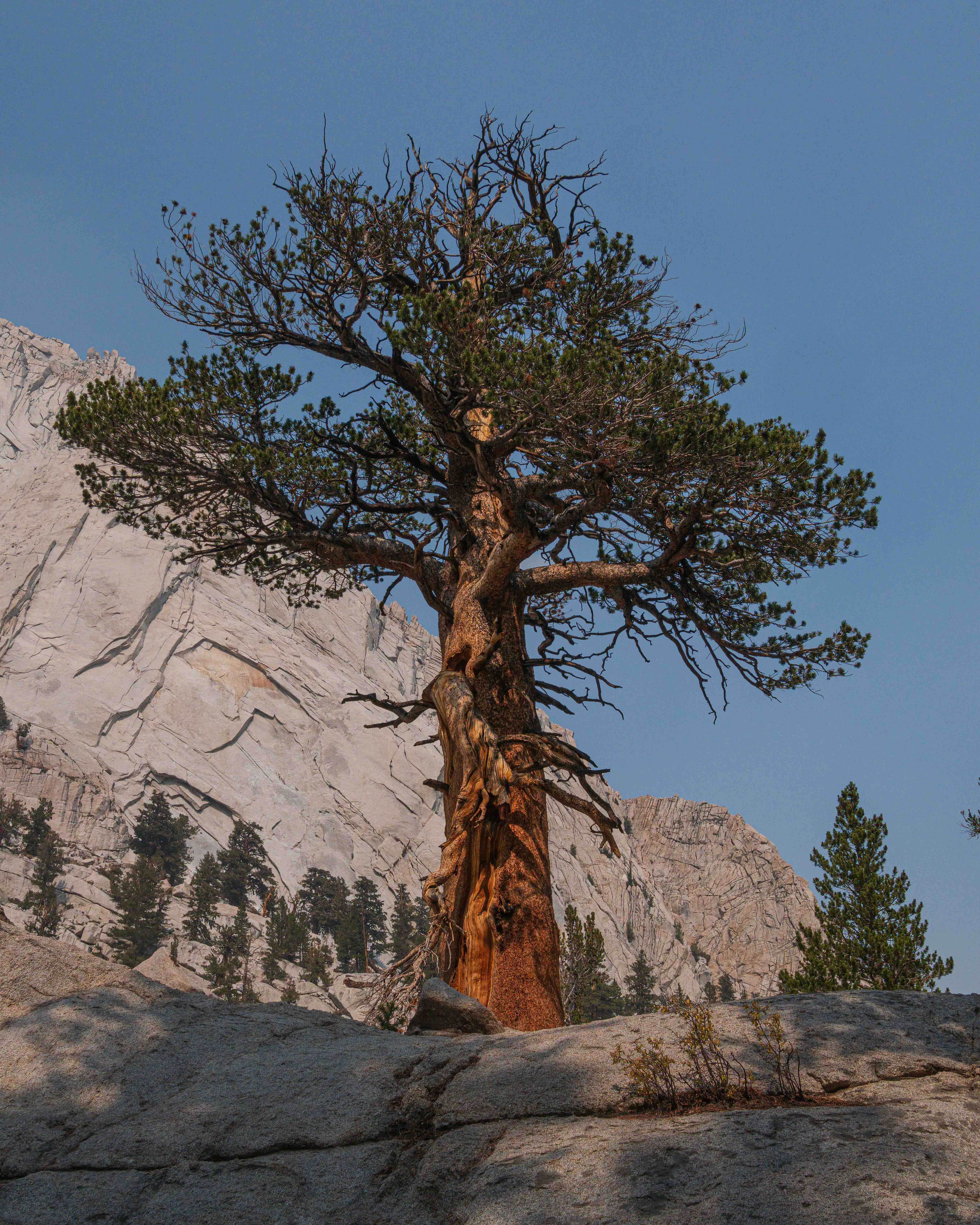 Sierra Nevada mountains, California